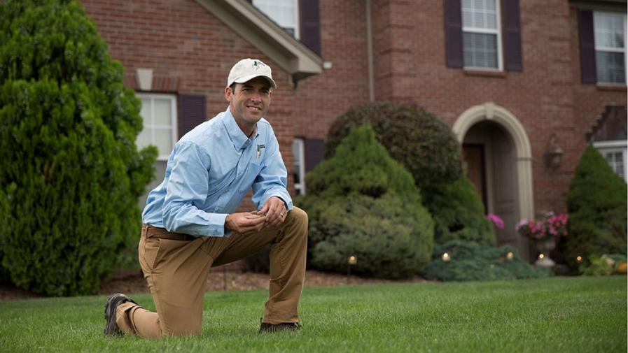 Cover photo of Lawn Doctor of Tampa